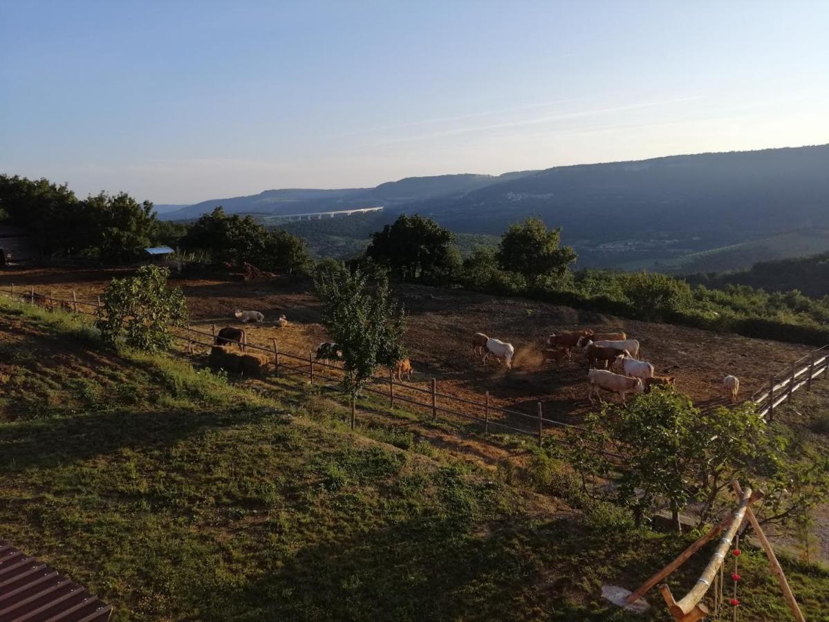 Camping Jakomin Koper Exteriér fotografie